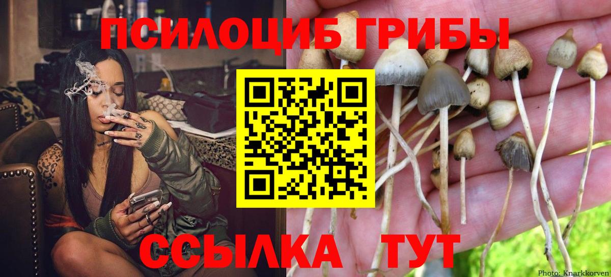 Галлюциногенные грибы прущие грибы Десногорск
